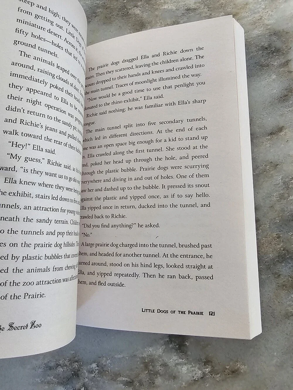 The Secret Zoo by Bryan Chick Paperback Novel Fantasy Adventure Age 9-12